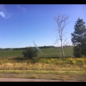 Meet your Posher, Sana